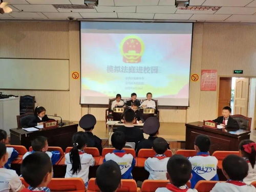 校园启示录，成长足迹与智慧光芒的交织