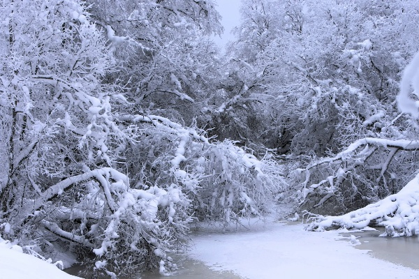 南方雨雪，独特自然画卷及其影响面面观