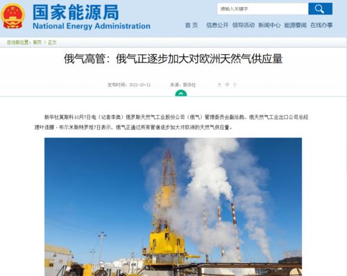今年八名俄能源高管神秘死亡背后的真相探究