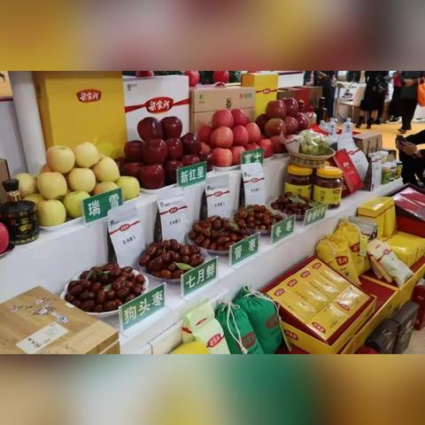 商标注册代理公司，专业助力品牌成长之路