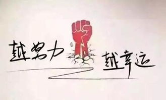 胡中明的奋斗之路，个人经历的启示与成长