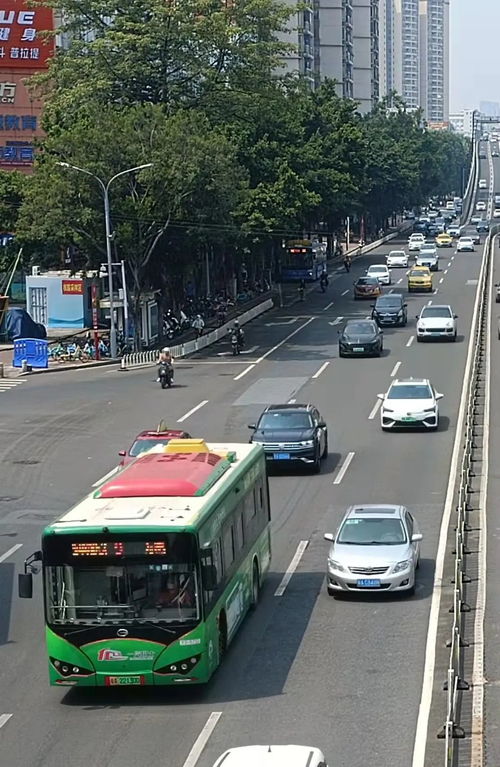 公交上的离别与重逢故事