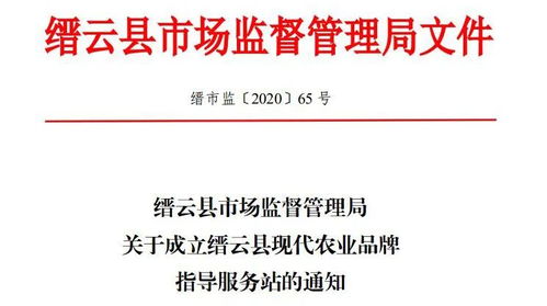 商标注册价格详解，比较与优化策略指南