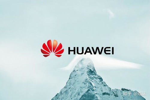 华为孟晚舟最新动态，逆境中的坚韧与希望之光