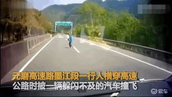 夫妻横穿马路撞飞事件，生命的警示与深度思考