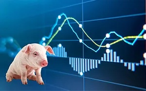 中秋节前猪价惊现大变天，每斤或达10元？