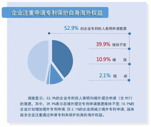 中国专利查询系统，创新与知识产权的联接桥梁