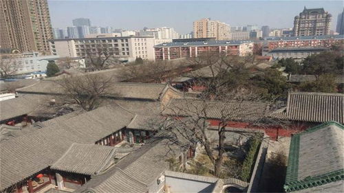 郑州百年四合院被淹真相揭晓，辟谣与事实揭秘