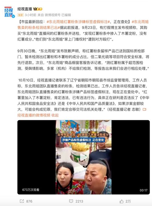 东北雨姐粉条厂遭遇巨额执行背后的故事与启示
