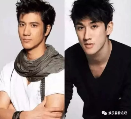 明星相似度大揭秘，奇妙撞脸现象背后的故事
