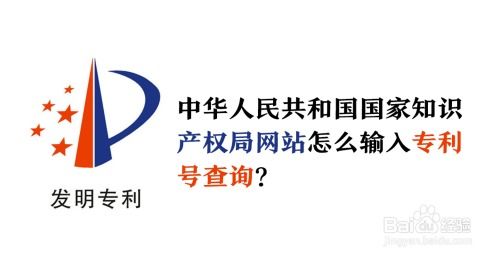 专利号查询网，知识产权便捷探索之路