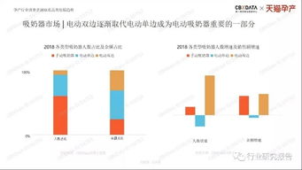 探索国产品牌的成长之路，从品牌发展到消费者洞察的全方位解析