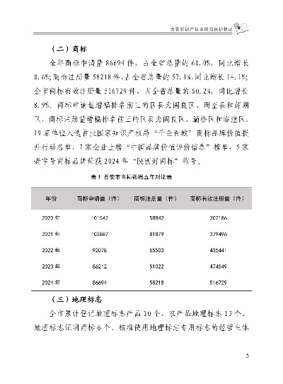 西安知识产权的发展与保护概览
