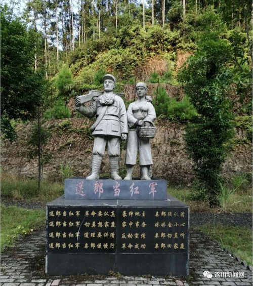 2025年9月17日 第20页