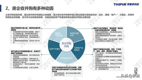 国策评估，审视政策效果与未来策略方向