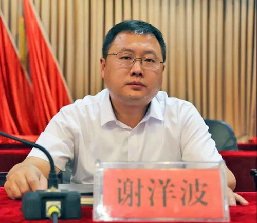 李波，合江县委书记的担当与作为