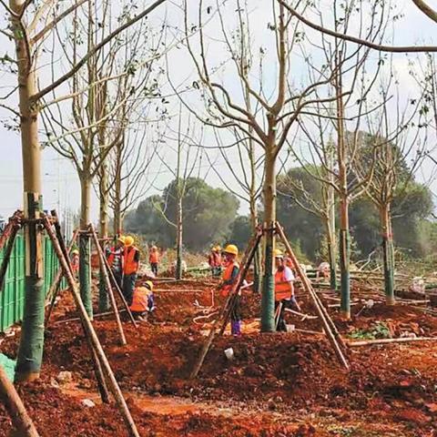 贵州北盘江垃圾泛滥引发关注，游客自发守护绿水青山行动启动