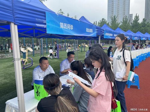 四川音乐学院就业网，搭建学生与职场的坚固桥梁