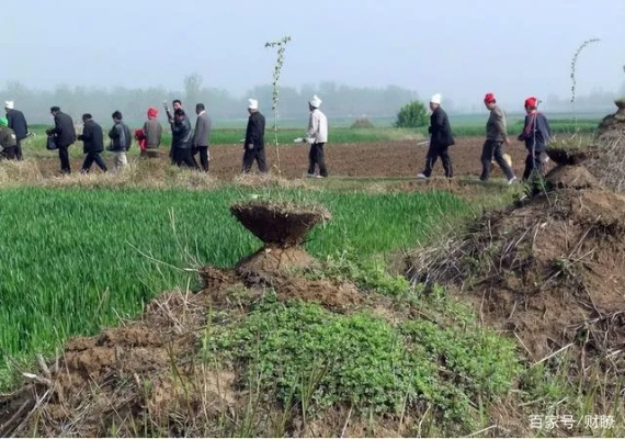 河南公职人员涉耕地修坟事件，反思与探讨