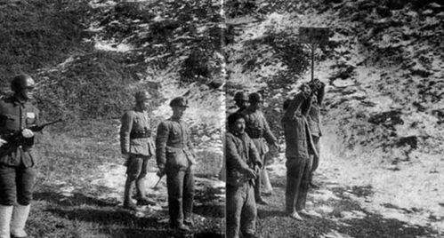 历史的审判，向井敏明罪恶行径及警示