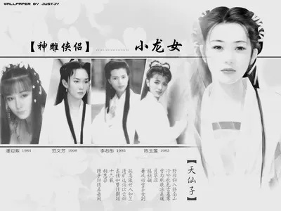 孔庆东在百家讲坛的独特魅力展现