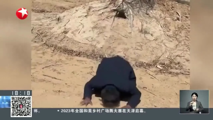 煤矿断水危机引发林场主跪地求水，万亩林木生死存亡之际