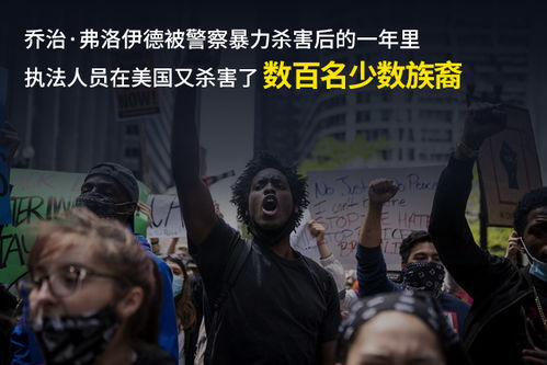 对暴力行为的质疑与反思
