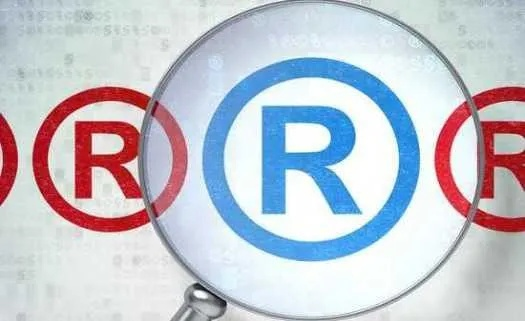 注册商标查询的重要性与步骤解析