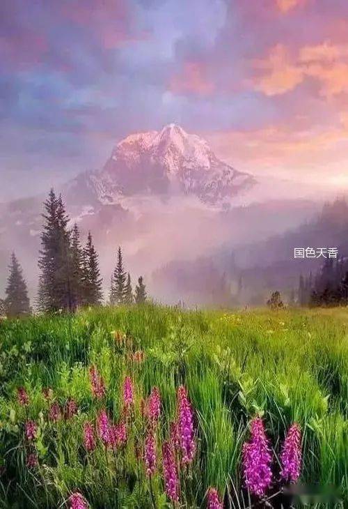入党与不入党，人生的关键抉择及其深远意义