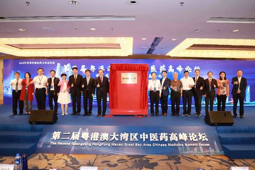 南京中医药大学研究生院，传承创新，培育中医药精英之路