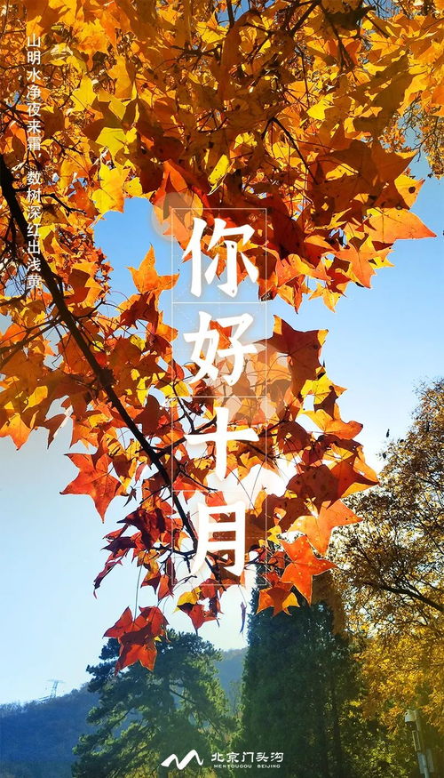 金秋时节，历史之声在耳畔轻拂