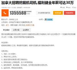 探索一站式先锋，133分类信息网服务