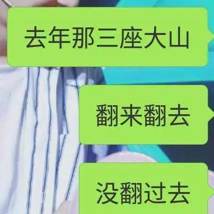 高考查分背后的心路历程，从焦虑到释然揭秘
