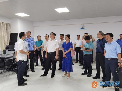 揭秘高考成绩查询，从焦虑到释然的心路历程