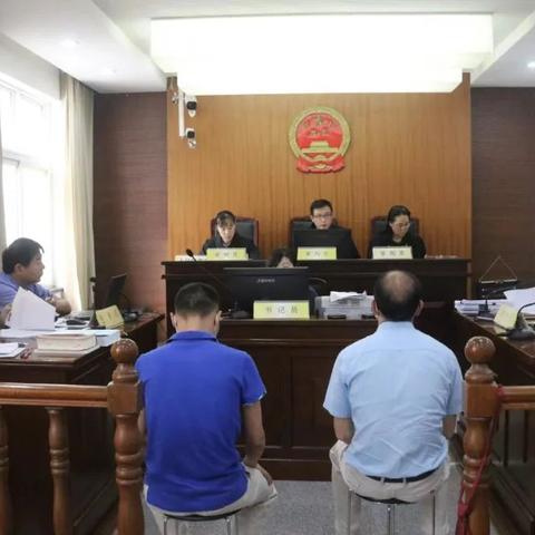 国家知识产权网，知识产权保护与创新发展的先锋阵地