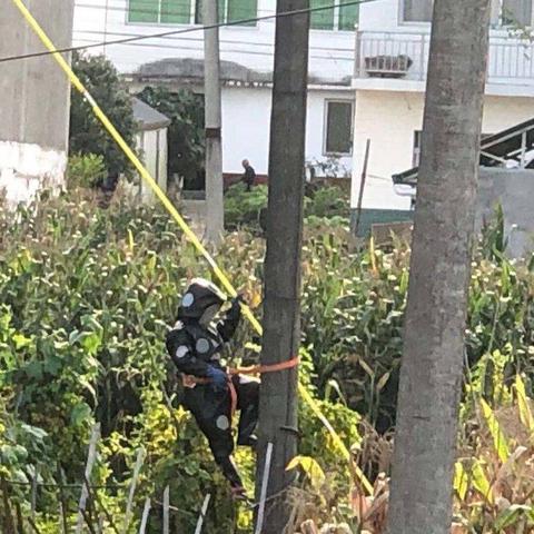 小伙穿防护服收玉米，特殊时期的别样坚守
