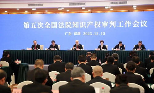 国家知识产权局专利局，推动创新与知识产权协同发展的引领者