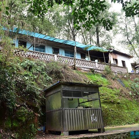 湖北省教育自费留学服务中心助力学子扬帆海外启航梦之旅