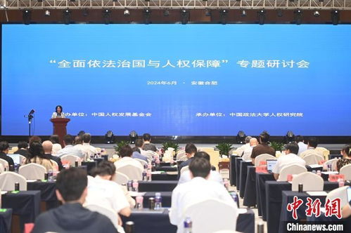 河南法制频道，守护法治之光，传递正义之声