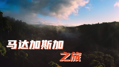 中国森林全盘复活，消失的森林重现生机