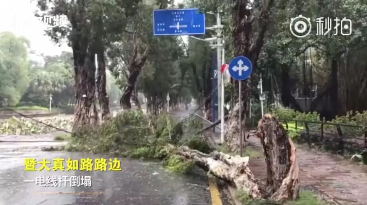 桦加沙灾害威胁堪比山竹破坏力