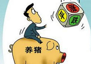 中秋节前猪价巨变，市场波动与每斤10元趋势揭秘