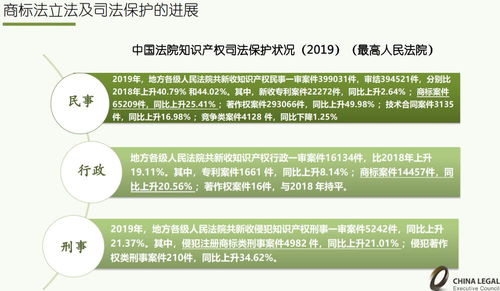 商标查询网，企业商标管理与保护的关键工具