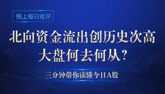 深度透视社会新闻热点，现象、影响及深度思考