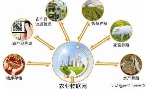 农业网络信息，推动农业现代化发展的核心驱动力