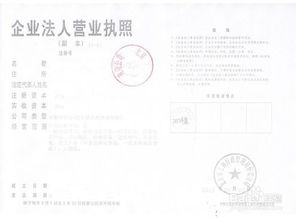 自主注册商标详解，步骤与注意事项全解析