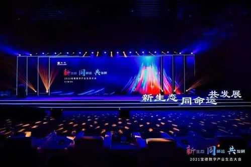 安徽财经，辉煌成就与璀璨未来