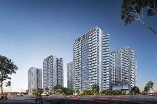 珠海多区沿海高层住宅居民紧急撤离倡议启动
