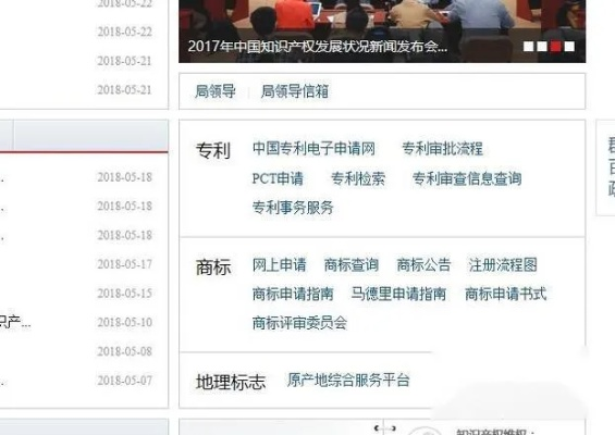 国家专利号查询网站，专利信息一键获取窗口