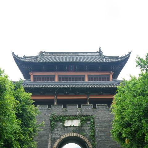广东高等学府，知识与梦想的摇篮